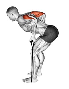Band Triceps Kickback exercise demonstration for Triceps, and Upper Arms, Band