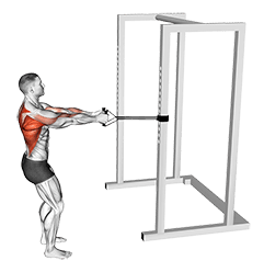 Band Close Grip Row exercise demonstration for Back, Band