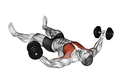 Dumbbell Floor Fly exercise demonstration