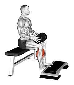 Weighted Seated Calf Raise exercise demonstration