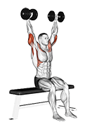 Dumbbell Seated Front and Back Tate Press exercise demonstration for Triceps, and Upper Arms, Dumbbell