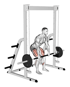 Smith Rack Pull exercise demonstration