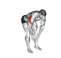 Bodyweight Bent Over Rear Delt Fly exercise demonstration