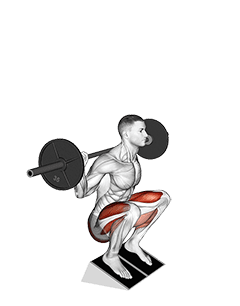 Barbell Elevated Heel Squat exercise demonstration