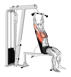 Cable Seated Pullover exercise demonstration