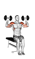 Dumbbell Seated Cuban Press exercise demonstration for Shoulders, Dumbbell