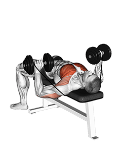Dumbbell Banded Bench Press exercise demonstration for Chest, Dumbbell