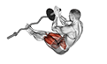 EZ-Bar Legs Side Pull-In Sit-up exercise demonstration