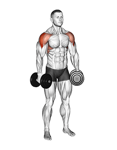 Dumbbell Partials Lateral Raise exercise demonstration for Shoulders, Dumbbell