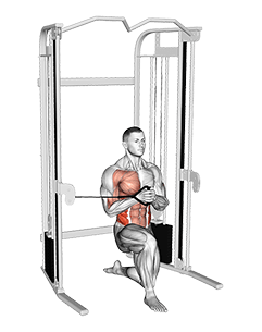 Cable Half Kneeling Pallof Press exercise demonstration