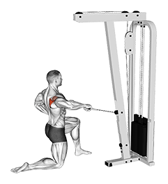 Cable Half Kneeling External Rotation exercise demonstration