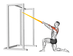 Resistance Band Half Kneeling Face Pull exercise demonstration