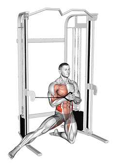 Cable Half Kneeling Adductor Pallof Press exercise demonstration for Waist, Cable