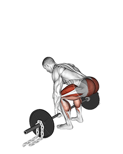 Barbell Deadlift against Chains exercise demonstration for Hips, Barbell