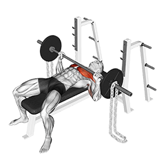 Barbell Bench Press against Chains exercise demonstration for Chest, Barbell