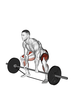 Barbell Banded Sumo Deadlift exercise demonstration for Hips, Barbell