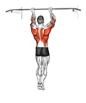 Chin-Up Around the Bar exercise demonstration for Back, Body weight