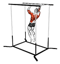 Climbing Monkey Bars exercise demonstration for Plyometrics, Body weight