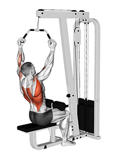Cable Wide Neutral Grip PullDown exercise demonstration