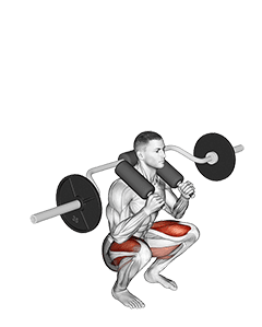 Safety Bar Front Squat exercise demonstration for Quadriceps, and Thighs, Body weight