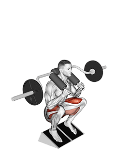 Safety Bar Elevated Heel Squat exercise demonstration for Thighs, Body weight