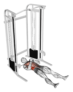 Cable Lying Pallof Press exercise demonstration for Waist, Cable