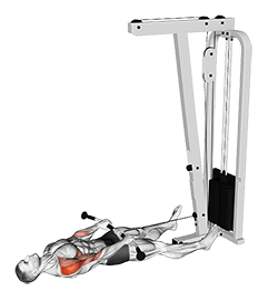 Cable Lying Upright Row exercise demonstration for Shoulders, Cable