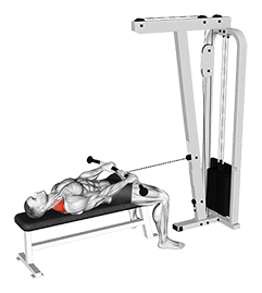 Cable Lying Shrug exercise demonstration