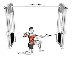 Cable Half Kneeling Push Pull exercise demonstration