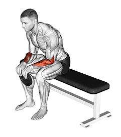 Weighted Seated Reverse Wrist Curl exercise demonstration for Forearms, Weighted