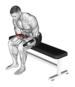 Weighted Seated One Arm Wrist Curl exercise demonstration