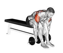 Dumbbell Seated Bent Over Rear Delt Row exercise demonstration for Shoulders, Dumbbell