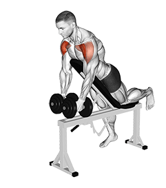 Dumbbell Incline Two Front Raise with Chest Support exercise demonstration for Shoulders, Dumbbell