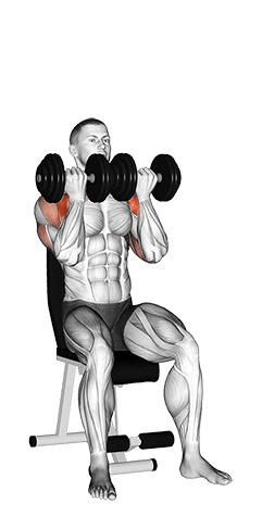 Dumbbell Seated Close Grip Press exercise demonstration