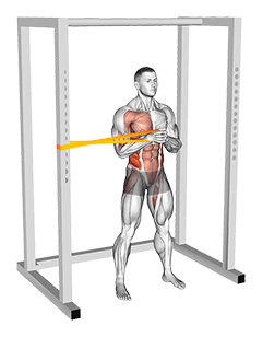 Resistance Band Horizontal Pallof Press exercise demonstration for Waist, Resistance Band