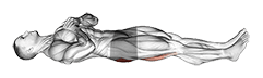 Straight Leg Hip Bridge exercise demonstration for Hips, Body weight
