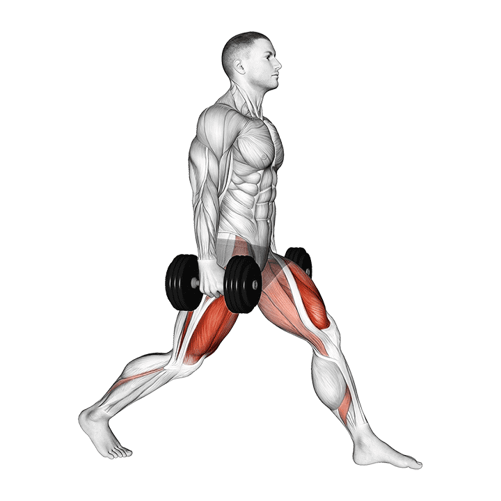 Dumbbell Static Lunge exercise demonstration for Thighs, Dumbbell