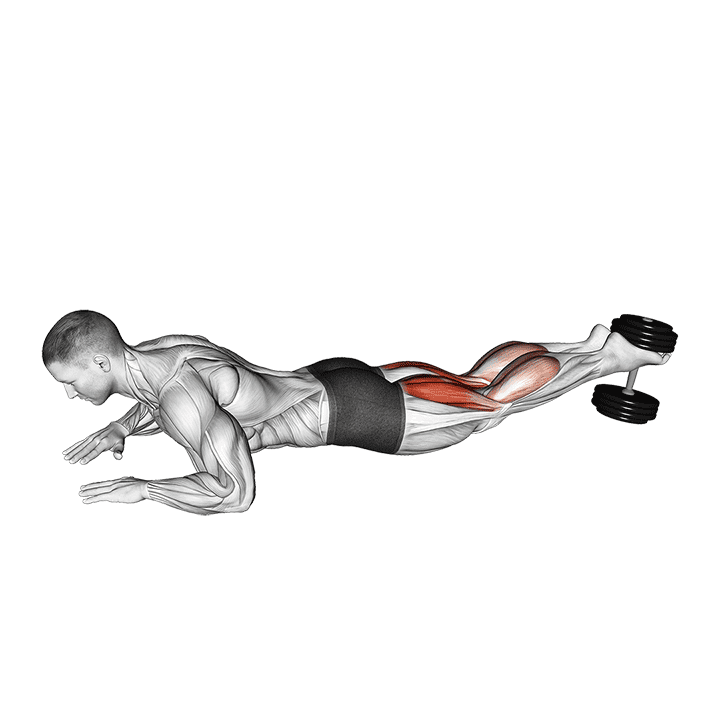 Dumbbell Lying Hamstring Curl exercise demonstration for Hamstrings, and Thighs, Dumbbell