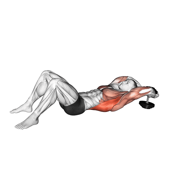 Dumbbell Pullover on floor exercise demonstration for Back, Dumbbell
