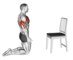 Push with Chair exercise demonstration