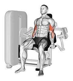 Lever Biceps Curl exercise demonstration for Biceps, and Upper Arms, Leverage machine