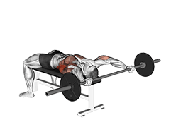Barbell Wide Pullover exercise demonstration for Back, Barbell