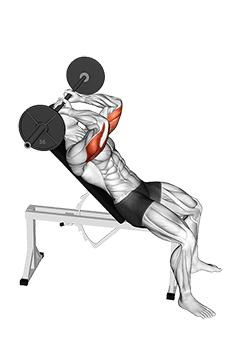 Barbell Incline Triceps Extension Skull Crusher exercise demonstration