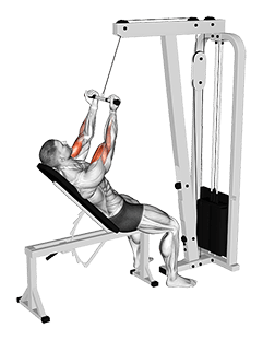 Cable Incline Close grip Curl exercise demonstration for Biceps, and Upper Arms, Cable