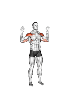 Bodyweight Standing Military Press exercise demonstration for Shoulders, Body weight