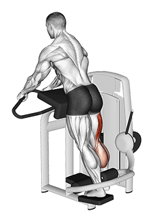 Lever Standing Leg Curl exercise demonstration