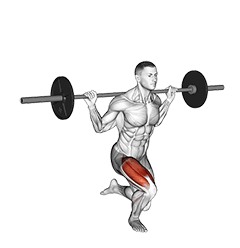 Barbell Single Leg Squat exercise demonstration for Thighs, Barbell