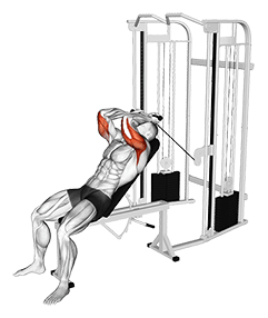 Cable Incline Skull Crusher exercise demonstration