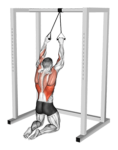 Band Kneeling Lat Pulldown exercise demonstration for Back, Band