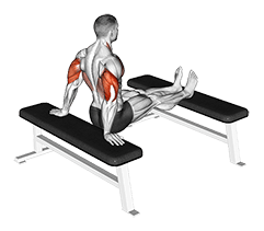 Bench Dip with legs on bench exercise demonstration for Triceps, and Upper Arms, Body weight